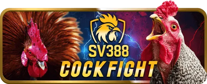 Máy đánh bạc (slots) với đồ họa sống động và giải độc đắc